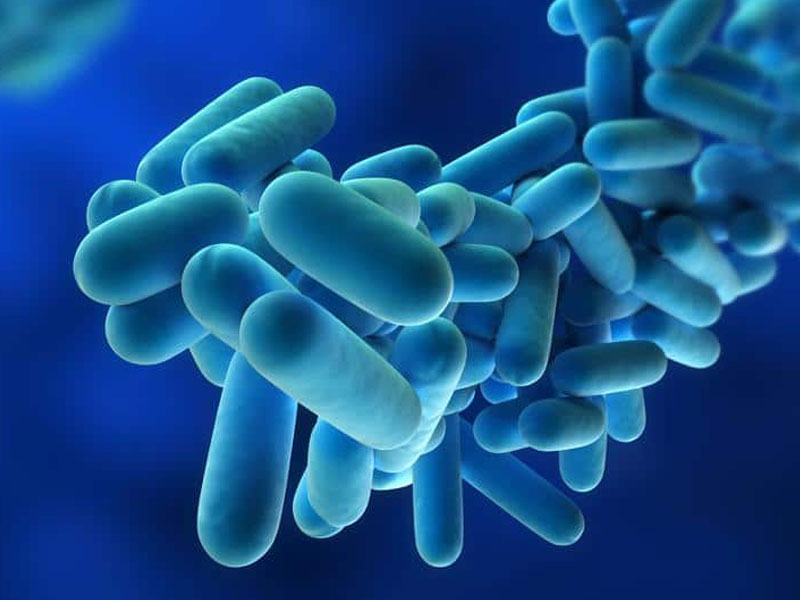 New Standard UNE 100030: 2017 “Prevention and Control of Legionella”