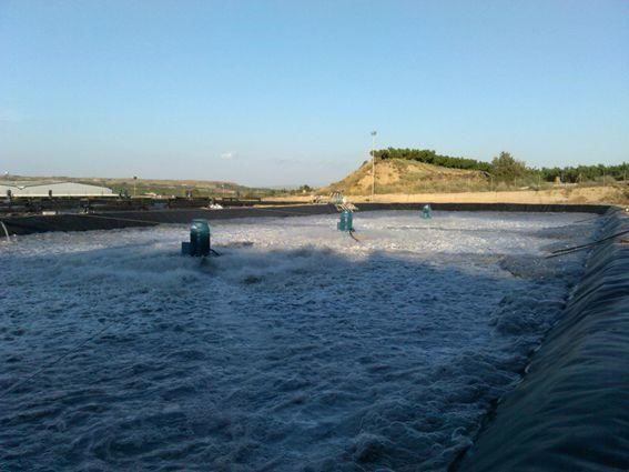 Adaptación balsa homogenización aguas residuales en Reactor Biológico