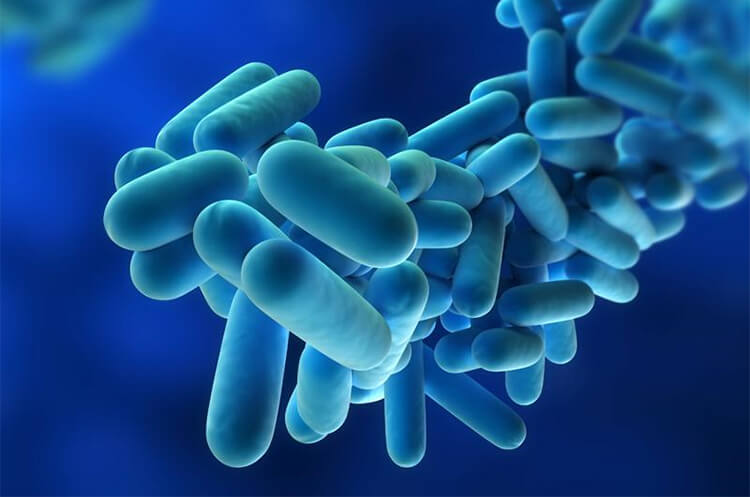 Curs Oficial OnLine Prevenció Legionella