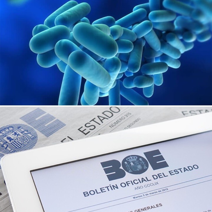 Nou Reial Decret 614/2024 de Legionella