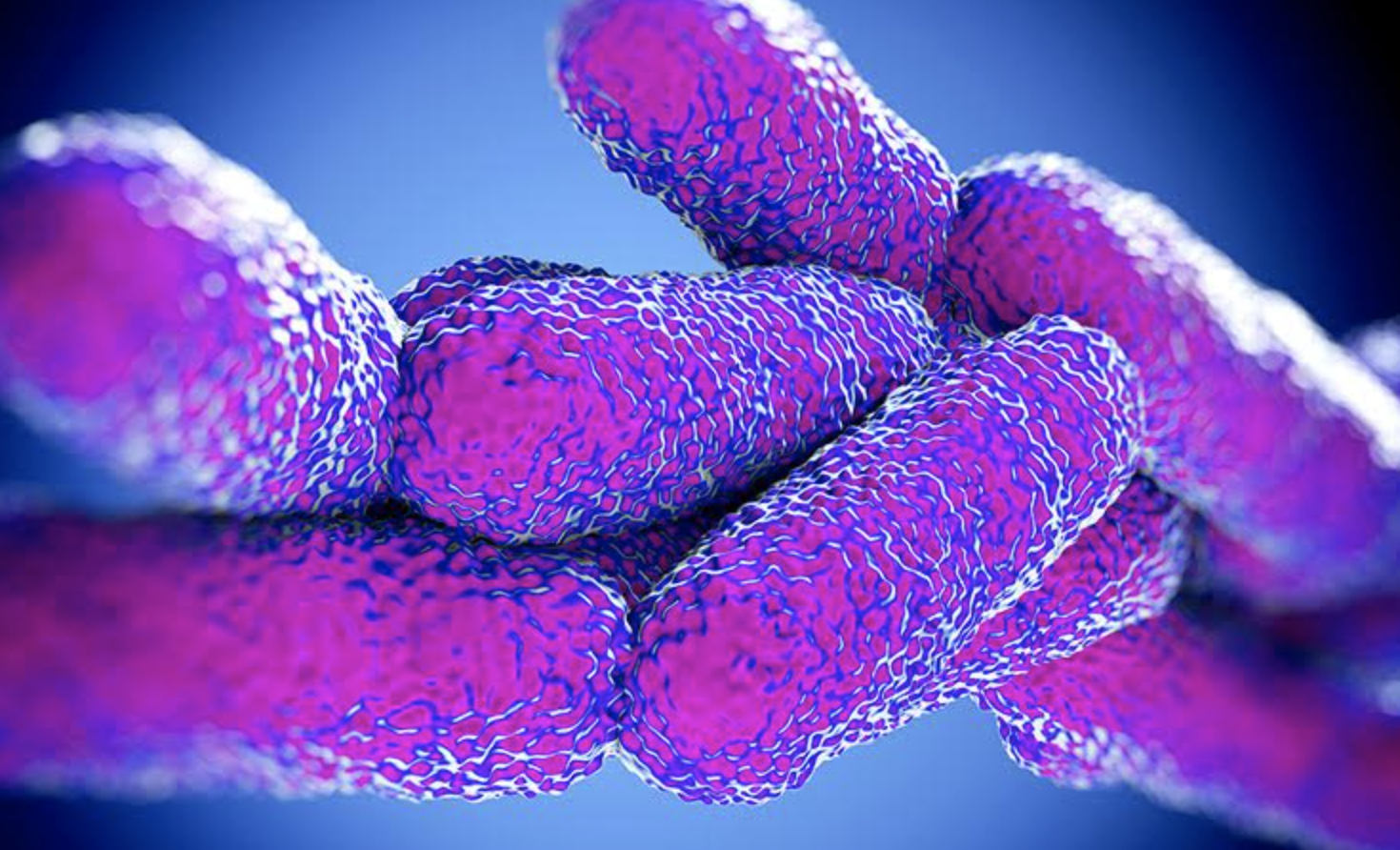 Stenco Col·labora al XI Congrés Nacional de Legionella